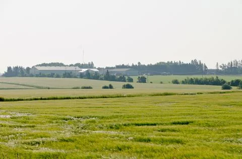 View of fields and forests Foto stock