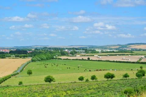A view to fields and herds of cows and sheep grazing on a farmland near Old.. Stock Photos