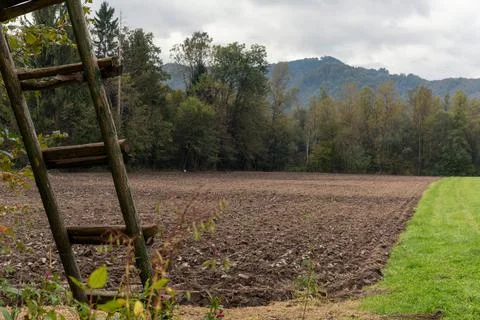 View of fields and meadow 스톡 사진