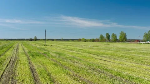 View of the fields and roads from the height of a flying drone. Vídeo Stock 171764891