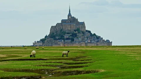 View of the fields and salt meadows near beautiful castle in Normandy, France Stock Footage 302072106