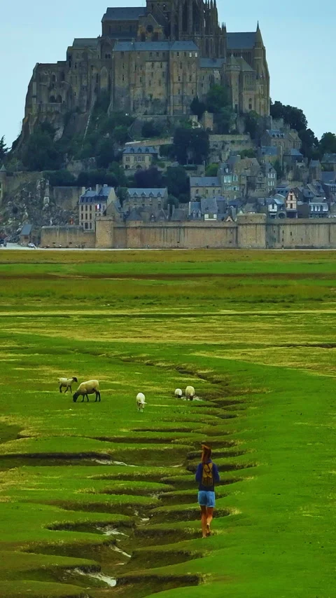 View of the fields and salt meadows near beautiful castle in Normandy, France Stock Footage 302073383