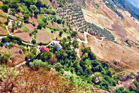 View on fields of andalusia Stock Photos