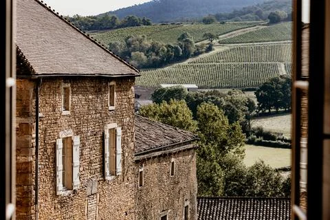 View on the fields from Chateau de Pierreclos, France Foto stock