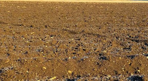 View of fields in early spring after harvest, brown plowed fields in sunlight Stock Photos