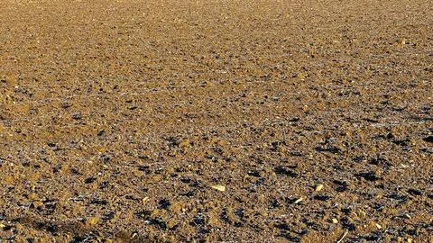 View of fields in early spring after harvest, brown plowed fields Stock Photos