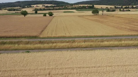 View of the fields at harvest in summer Stock Footage 201655449