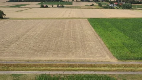 View of the fields at harvest in summer Stock Footage 201659050