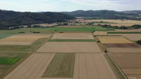 View of the fields at harvest in summer Stock Footage 201663702