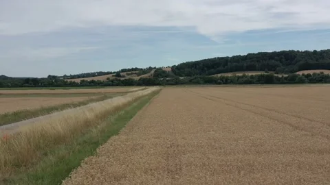 View of the fields at harvest in summer Stock Footage 201665633