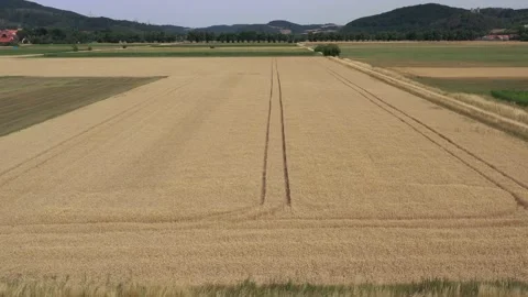 View of the fields at harvest in summer Stock Footage 201671313