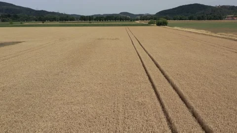 View of the fields at harvest in summer Stock Footage 201673941