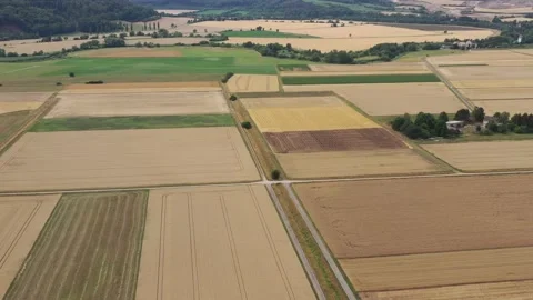 View of the fields at harvest in summer Stock Footage 201674907