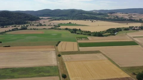 View of the fields at harvest in summer Stock Footage 201675748