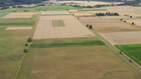 View of the fields at harvest in summer Stock Footage 201676299