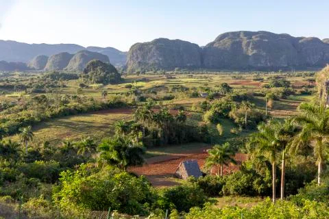 View of fields, mogotes and palms in Vinales Valley, Cuba Stock Photos