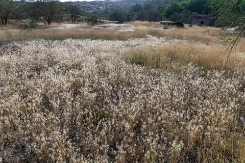 View of fields Stock Photos