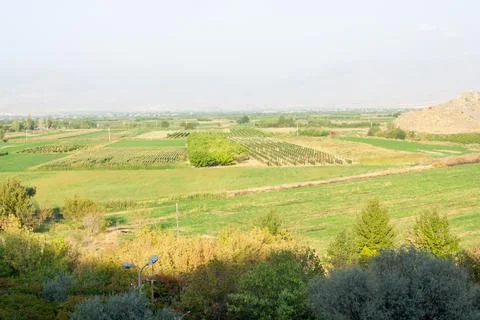 View of the fields, view of the mountains Photos
