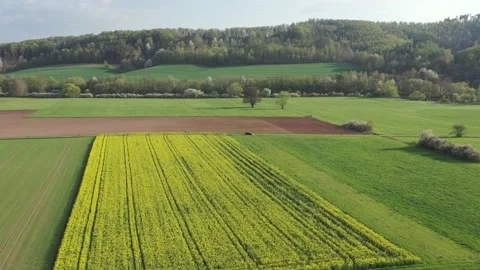 View of fields in the werra valley Stock Footage 188507802