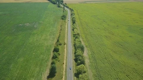 View of fields with wheat and sunflowers Vídeo Stock 77794142