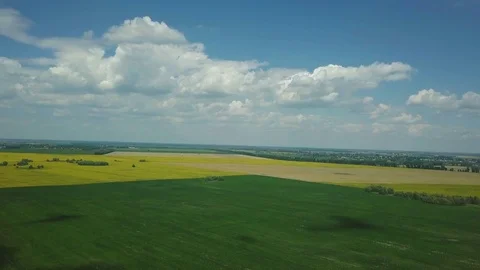 View of fields with wheat and sunflowers Vídeo Stock 77795984