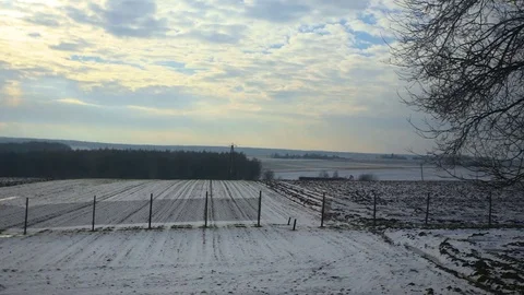 View fields in winter from bus window Stock-Footage 71507031