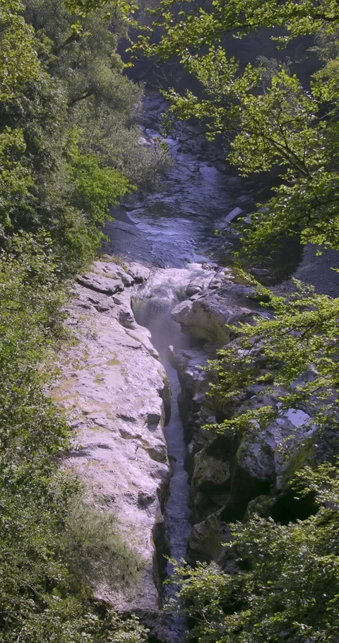View of the Fier River in summer Stock-Footage 283209035