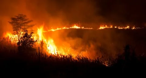 View of Fire Burning Grass and Trees at Night Photos