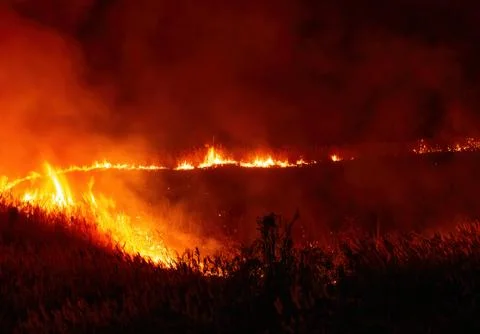 View of Fire Burning Grass and Trees at Night Photos