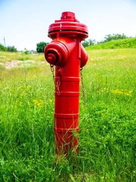 View on a fire hydrant on a field Foto stock