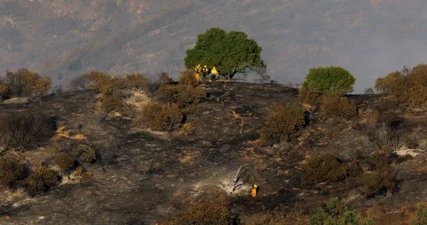 The view of firefighters working on extinguishing the forest fire on Hollywood Stockbeeldmateriaal 120177254