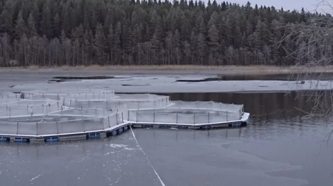 View on the fish farm in winter. Video stock 58750540