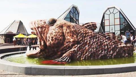 View on the fish in Stavoren. Stock Footage 95438409