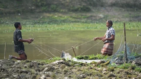 View of fishermen using a traditional net in Bogura, Bangladesh. Video stock 334984545