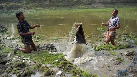 View of fishermen using traditional nets in Bogura, Bangladesh. Video stock 334984745