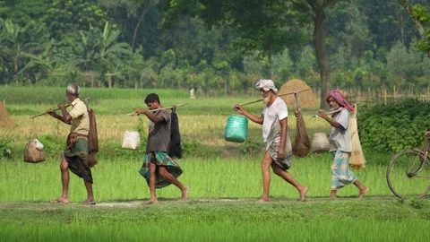 View of fishermen walking with nets through fields, Bangladesh. Video stock 334976687