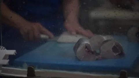 View of a fishmonger cutting fresh fish at Mercado da Vila, Portugal. Video stock 333526802