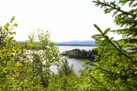 View on fjord from forest Stock Photos