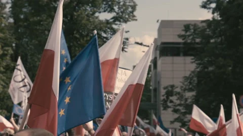 The view of flag from the demonstration in front of parliament. Stock Footage 124821812