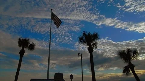 View of flag flying with palm trees in bright blue sky Vídeos de archivo 46072850