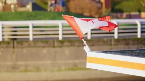 A View of the Flags of Canada. Stock Footage 145885330
