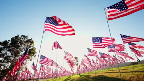 View on Flags on ceremony of honoring the lives lost in attacks 9,11,2001 Video stock 217415499
