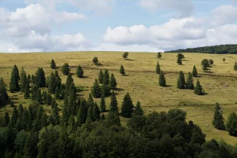 View from the flanks of Le Markstein mountain to hill with some trees Stock Photos