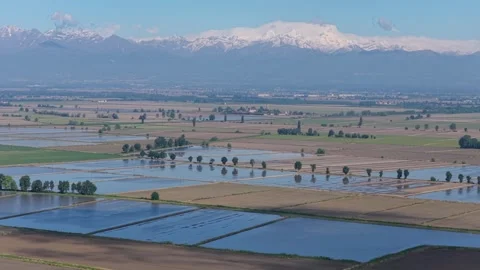 View of flooded rice fields and the Alps, Italy. Vídeos de archivo 335763244