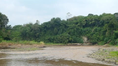 View of a flooded river with brown water Stock Footage 321321072