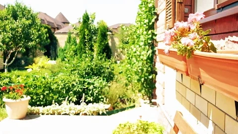 View of the flowering garden from the brick wall of the house Video stock 77833107