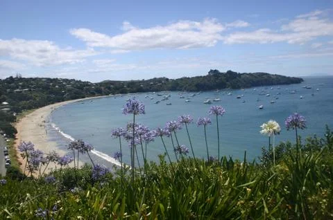 View of Flowers, Beach &amp; Ocean Stock Photos