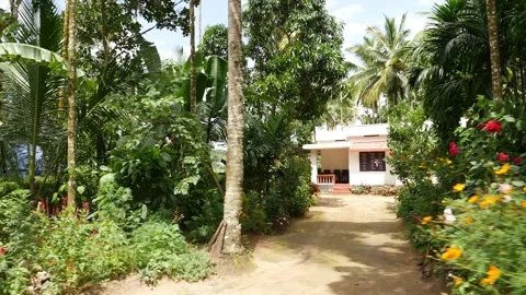 View of flowers outside the house gate, House covered by trees Stock Footage 156967909