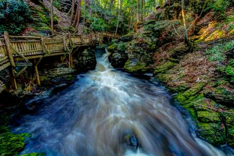 View of the flowing forest creek.. Stock Photos