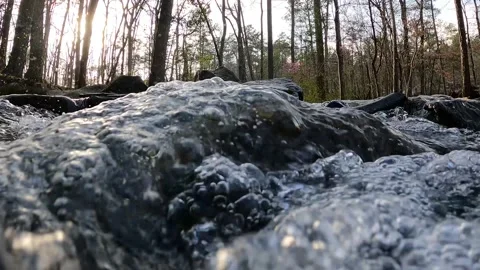 View Of Flowing River Partially Submerged Underwater Video stock 315225366